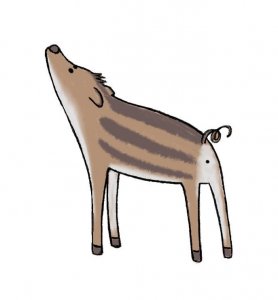 Naapóleon a vadmalac